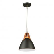 Artcraft SC13321BK - Tote 1 Light Pendant Black