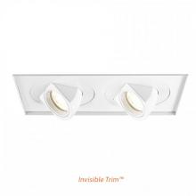 WAC US MT-5LD225TL-F930WT - Tesla LED Multiple Two Light Invisible Trim with Light Engine