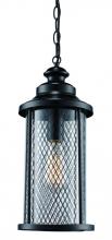 Trans Globe 40746 BK - Stewart 20.5" Hanging Lantern