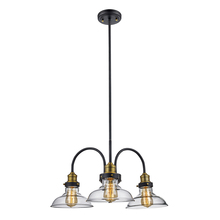 Trans Globe 70825 ROB - Jackson 24" wide Pendant