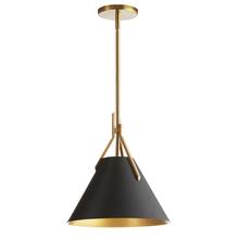 Dainolite NIC-101P-AGB-BK - 1LT Incandescent Pendant, AGB w/ BK metal shade