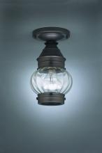 Northeast Lantern 2014-VG-MED-CSG - Onion Flush No Cage Verdi Gris Medium Base Socket Clear Seedy Glass