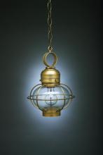 Northeast Lantern 2522-DAB-MED-CSG - Caged Onion Hanging Dark Antique Brass Medium Base Socket Clear Seedy Glass