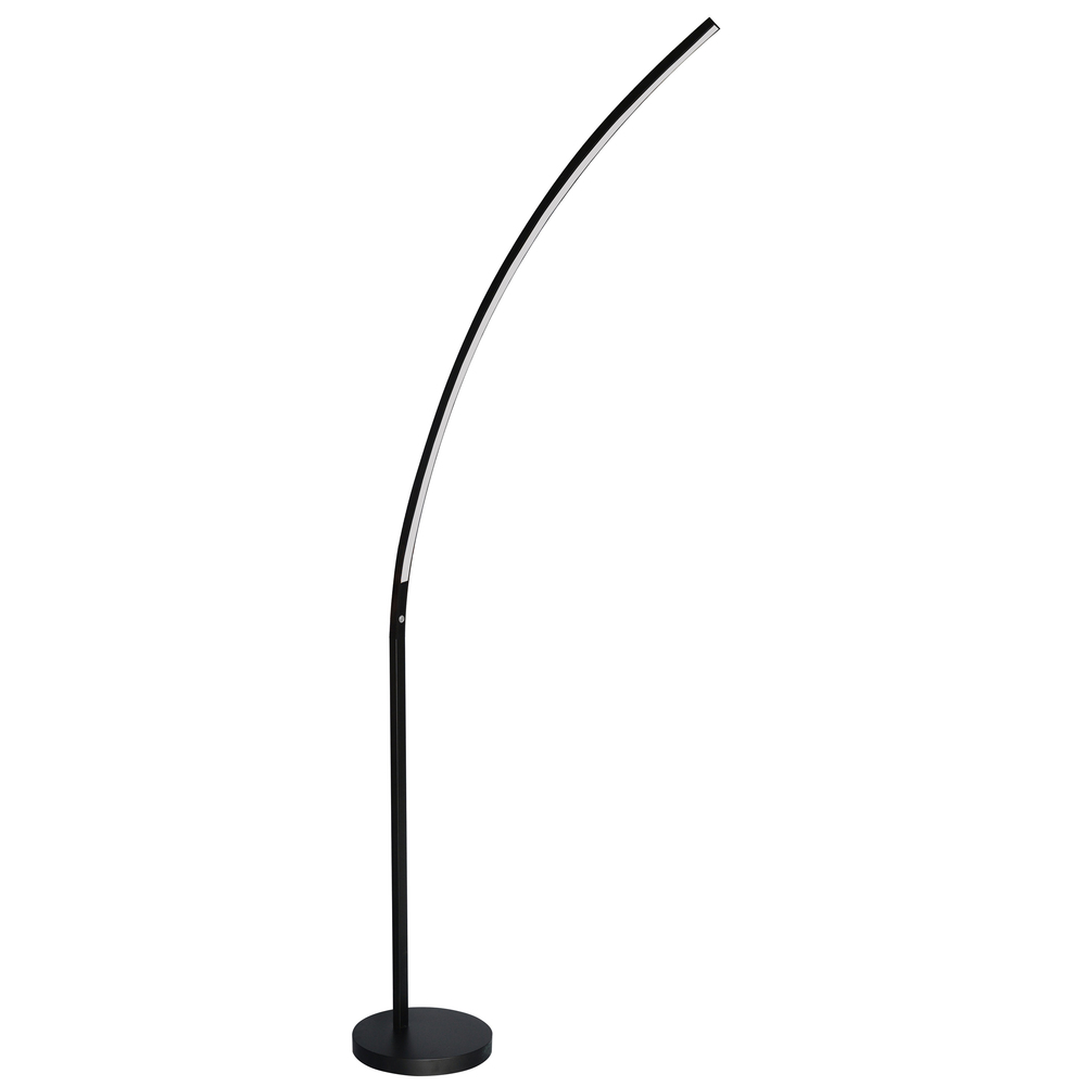 16W LED Floor Lamp Matte Black Finish