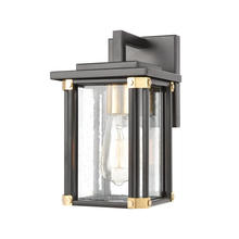 ELK Home 46720/1 - SCONCE